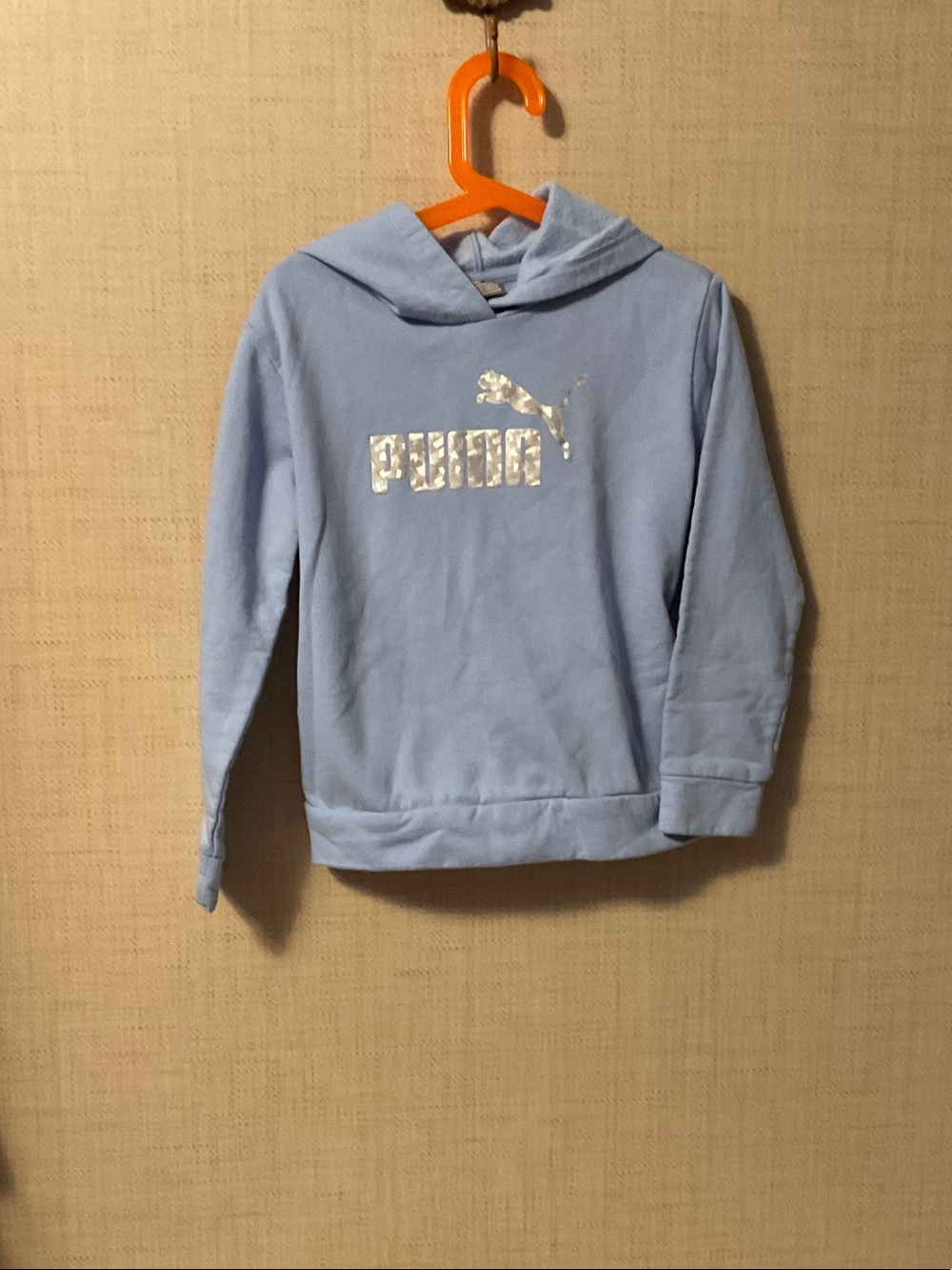 Puma Light Blue Kids Hoodie with Shiny Silver Logo